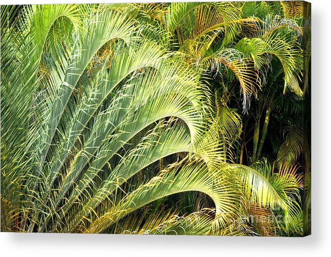 Hawaii Acrylic Print featuring the photograph Shapes of Hawaii 16 by Ellen Cotton