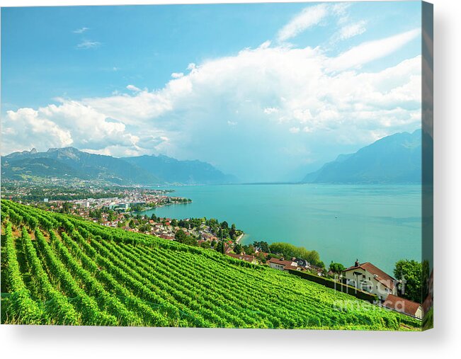 Terraced Vineyards Acrylic Print featuring the photograph Vineyards of Lavaux #2 by Benny Marty