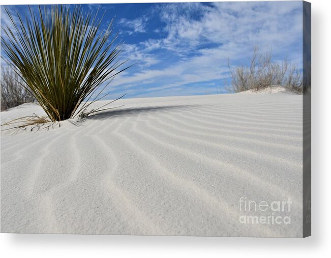 White Sands Acrylic Print featuring the photograph White Sands National Park #2 by Leslie M Browning