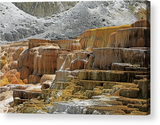 Mammoth Hot Springs Acrylic Print featuring the photograph Yellowstone NP - Mammoth Hot Springs #4 by Richard Krebs