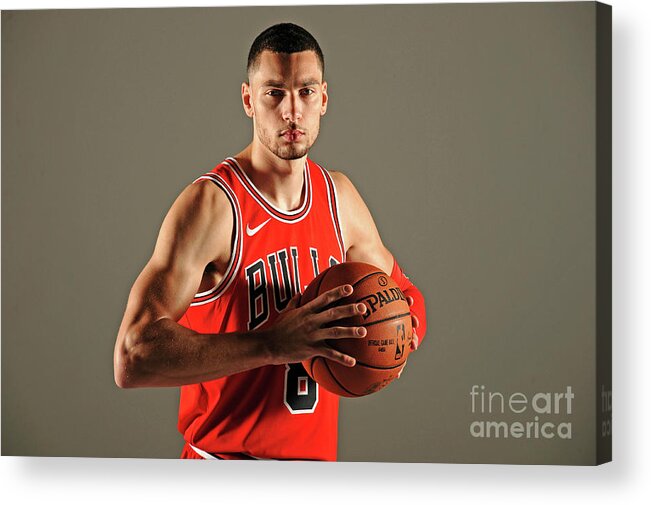 Media Day Acrylic Print featuring the photograph Zach Lavine by Randy Belice