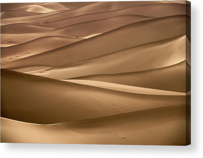 Desert Acrylic Print featuring the photograph Background with of sandy dunes in desert by Mikhail Kokhanchikov