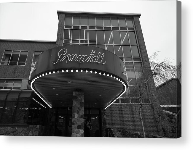 Western Michigan University Acrylic Print featuring the photograph Broncos Mall at Western Michigan University in black and white #3 by Eldon McGraw