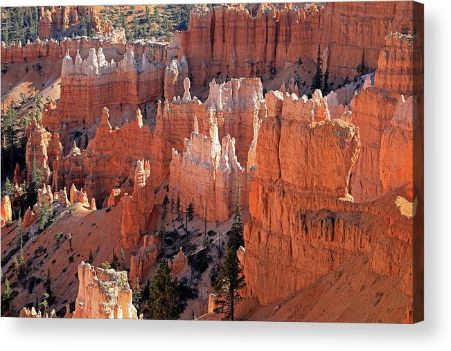 Bryce Canyon National Park Acrylic Print featuring the photograph Bryce Canyon National Park by Richard Krebs