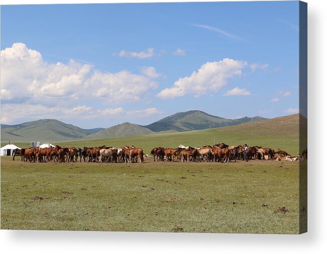 Nature In Mongolia Acrylic Print featuring the photograph Nature in Mongolia #3 by Otgon-Ulzii