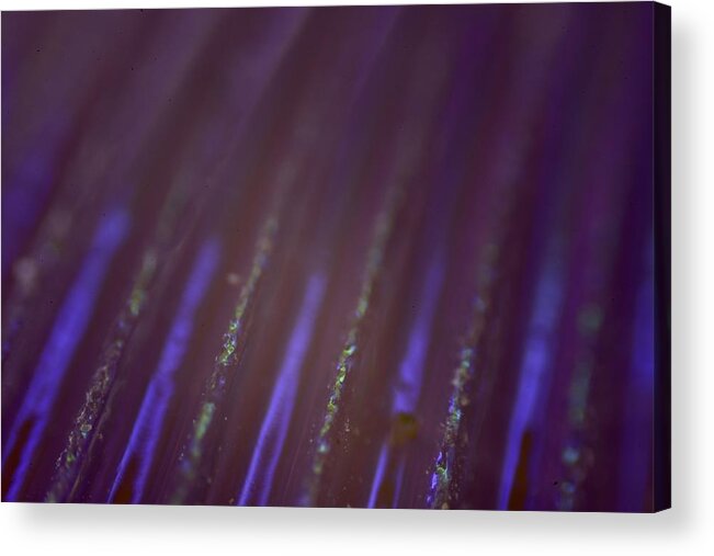 Abstract Acrylic Print featuring the photograph Abstract #8 by Neil R Finlay