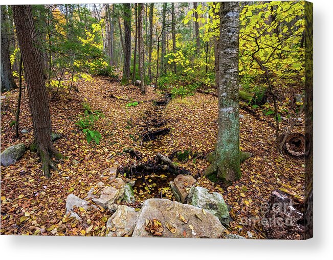 2018 Acrylic Print featuring the photograph Appalachian Autumn by Stef Ko