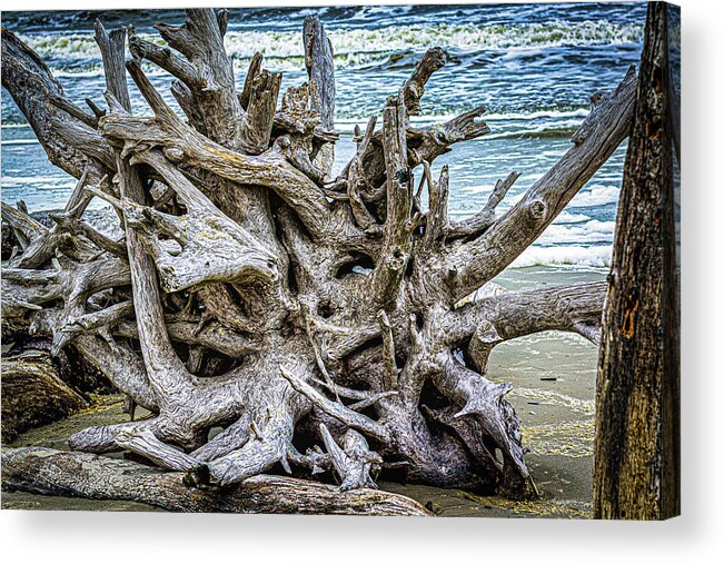 Driftwood Acrylic Print featuring the photograph Driftwood Beach #6 by Randy Bayne
