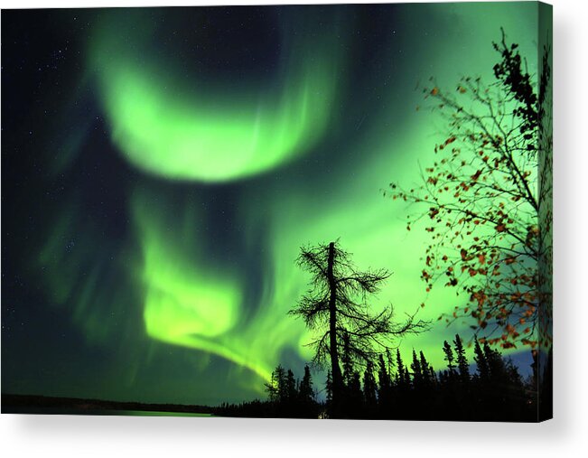 Northern Lights Acrylic Print featuring the photograph Northern Lights #6 by Shixing Wen