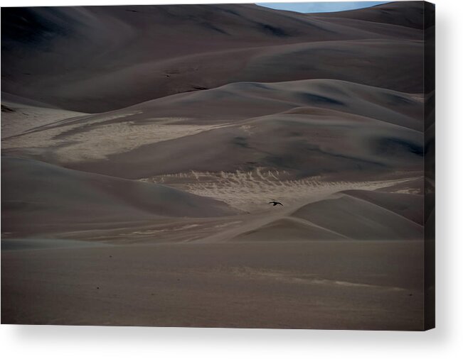 Co Acrylic Print featuring the photograph Sand Dunes #6 by Doug Wittrock