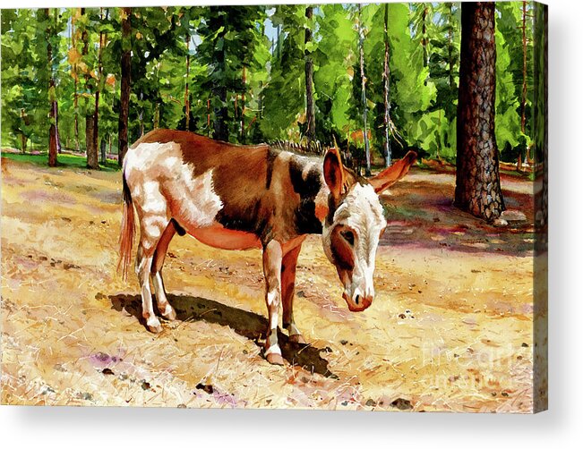 Placer Arts Acrylic Print featuring the painting #508 Jack #508 by William Lum