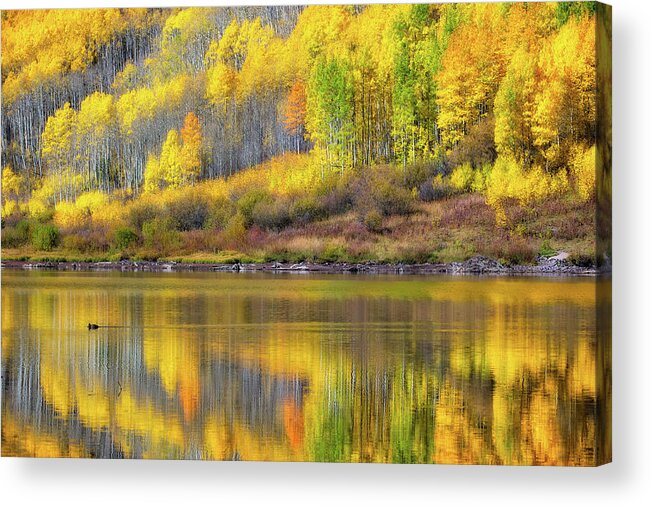 Co Acrylic Print featuring the photograph Fall colors, Colorado #5 by Doug Wittrock