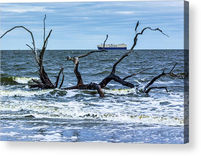 Driftwood Acrylic Print featuring the photograph Driftwood Beach #7 by Randy Bayne