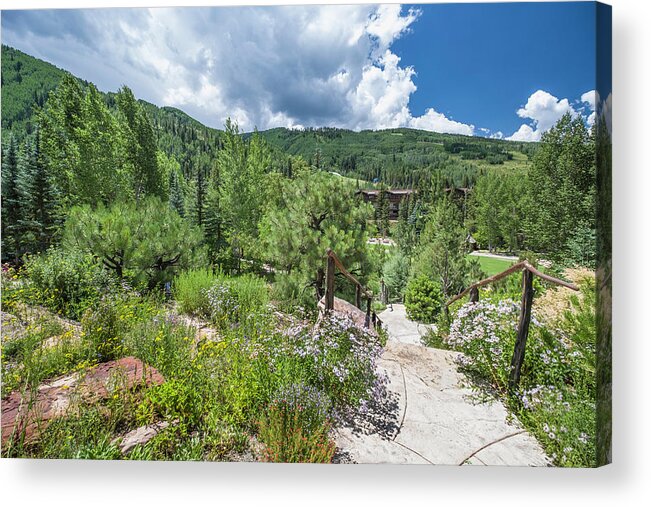 Alpine Rock Garden Acrylic Print featuring the photograph Betty Ford Alpine Gardens, Vail #7 by David L Moore