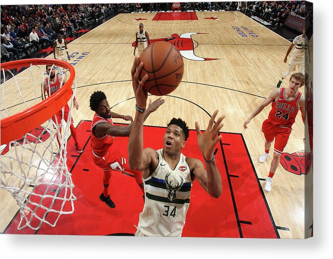 Nba Pro Basketball Acrylic Print featuring the photograph Giannis Antetokounmpo by Gary Dineen