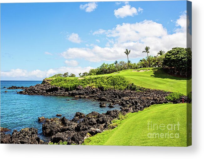 Nature Acrylic Print featuring the photograph A Beautiful View - Mauna Kea No.3 by Scott Pellegrin