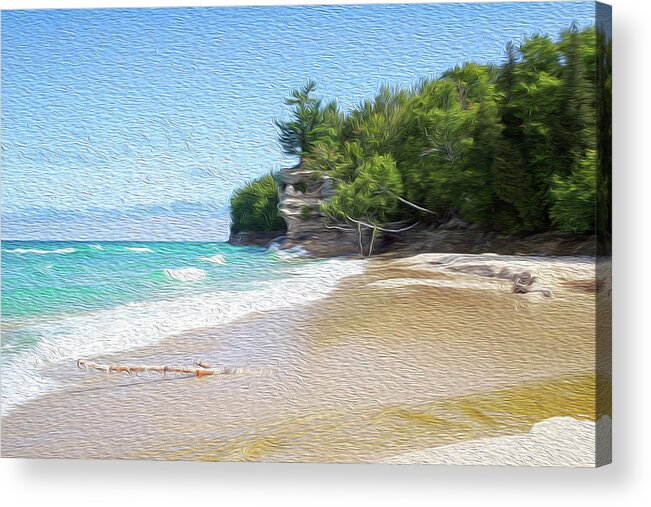 Day Acrylic Print featuring the photograph Painting of Birch on the Beach by Robert Carter