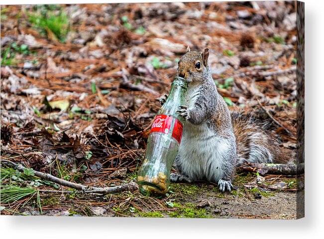 Bottle Acrylic Print featuring the photograph A Coke and a Smile by Todd Tucker