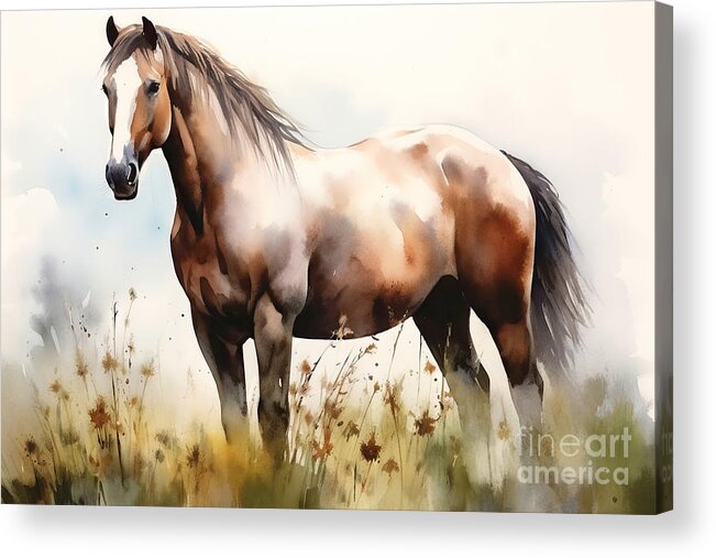 Horse Acrylic Print featuring the painting A horse in a pasture, watercolour style by N Akkash