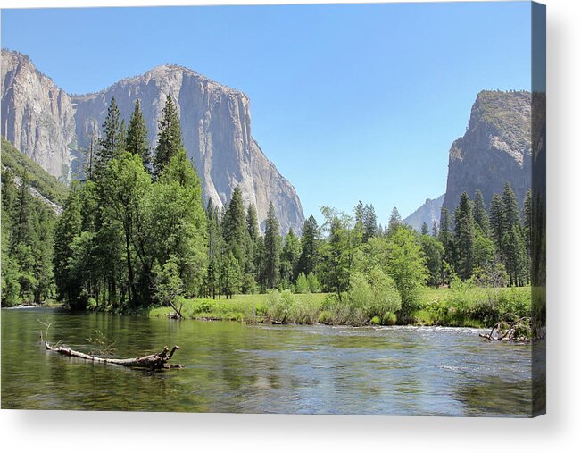 Bridalveil Meadow Acrylic Print featuring the photograph A Log in the River by Robert Carter