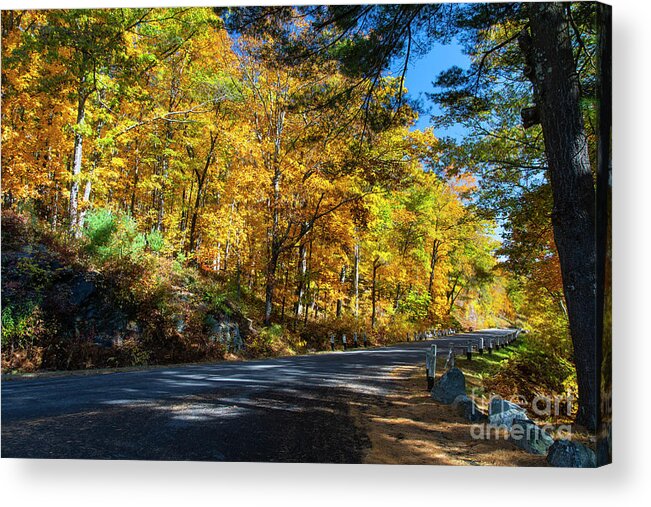 Wayne Moran Photography Acrylic Print featuring the photograph A Lovely Autumn Hike Quabbin Reserve Western Massachusetts by Wayne Moran