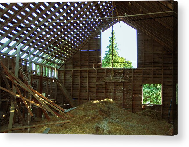 Barn Acrylic Print featuring the photograph A majestic evergreen through the eyes of an old barn by Leslie Struxness
