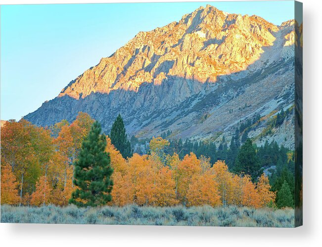 Fall Acrylic Print featuring the photograph A New Day by Jonathan Nguyen