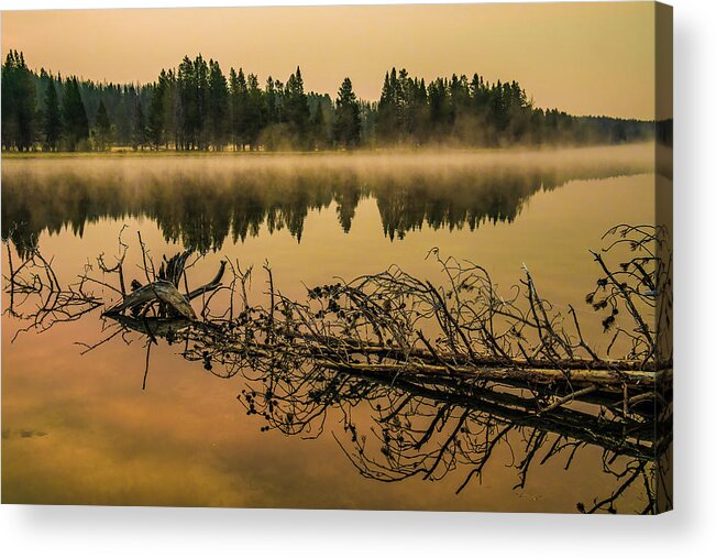 Yellowstone Acrylic Print featuring the photograph A smoky Morning on the Yellowstone by Gary Felton