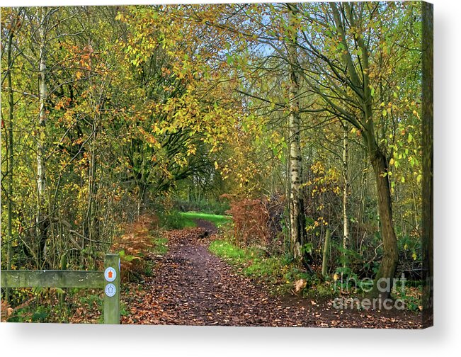 Alkington Woods Acrylic Print featuring the photograph A trail in Alkington Woods by Pics By Tony