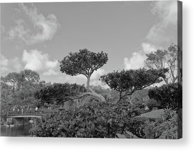 Landscape Acrylic Print featuring the photograph A Tree in a Japanese Garden #2 by Alan Goldberg
