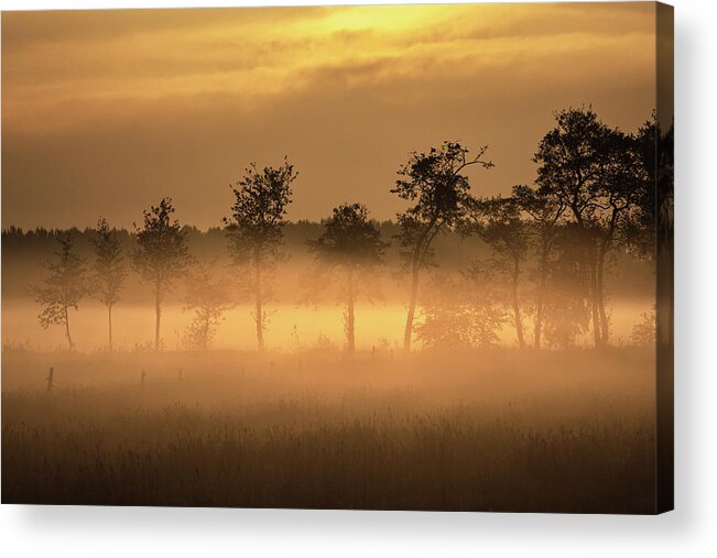 Orange Acrylic Print featuring the photograph A very hazy sunrise on a grassland in the Netherlands in spring by Anges Van der Logt