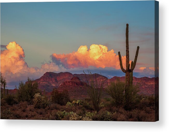 American Southwest Acrylic Print featuring the photograph A Vivid Moment by Rick Furmanek