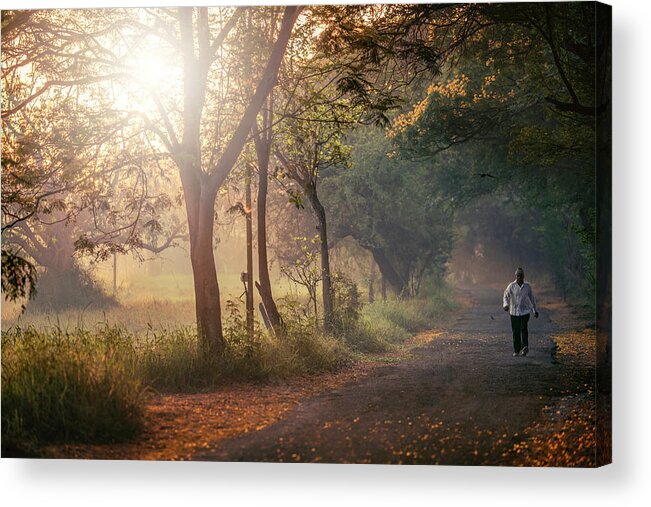 Photography Acrylic Print featuring the photograph Aarey Stroll by Craig Boehman