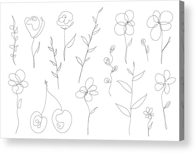 White Background Acrylic Print featuring the drawing Abstract collection of flowers and leefs in continuous line art drawing style by Dimitris66