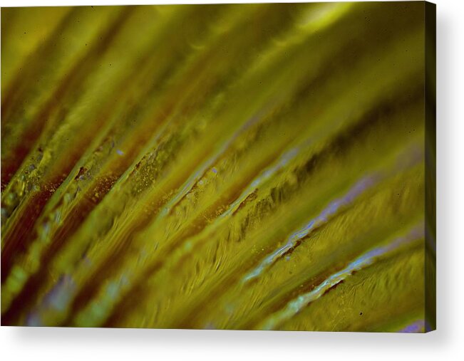 Abstract Acrylic Print featuring the photograph Abstract Gold by Neil R Finlay