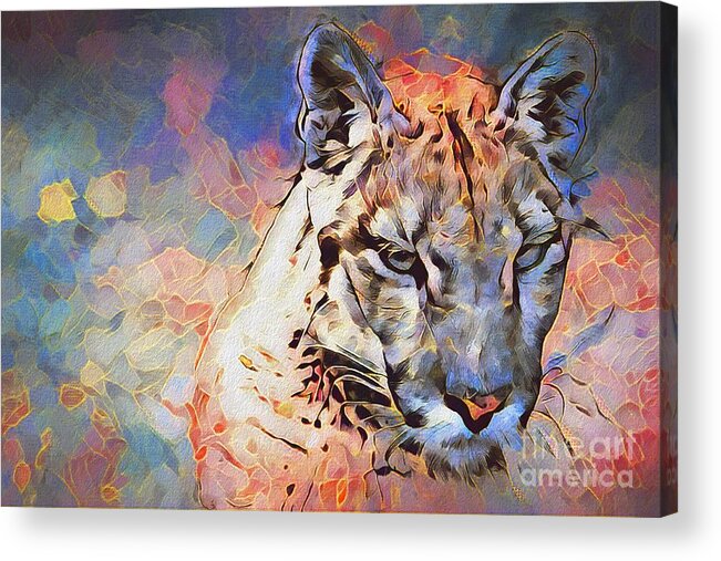 Wildlife Acrylic Print featuring the photograph Abstract Mountain Cougar by Philip Preston