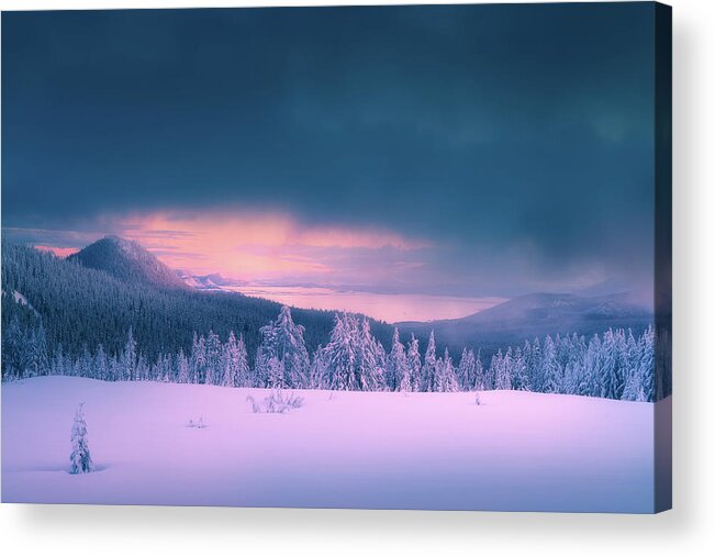 Winter Acrylic Print featuring the photograph After Winter Storm by Henry w Liu