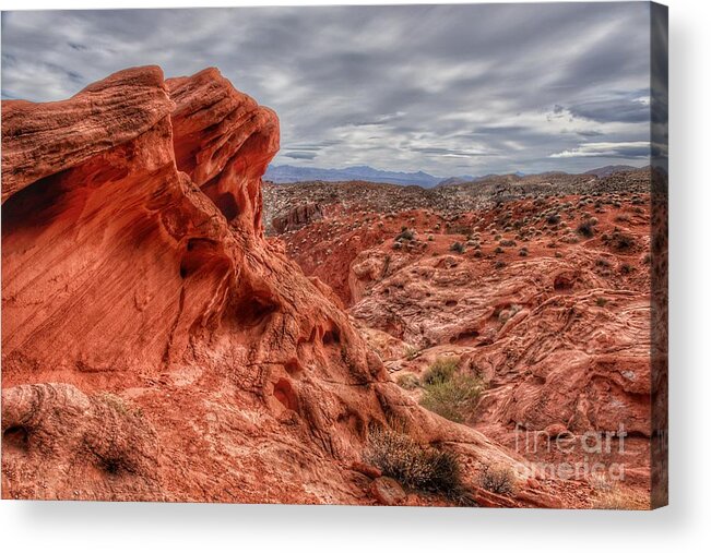  Acrylic Print featuring the photograph Against the Winds of Time by Rodney Lee Williams
