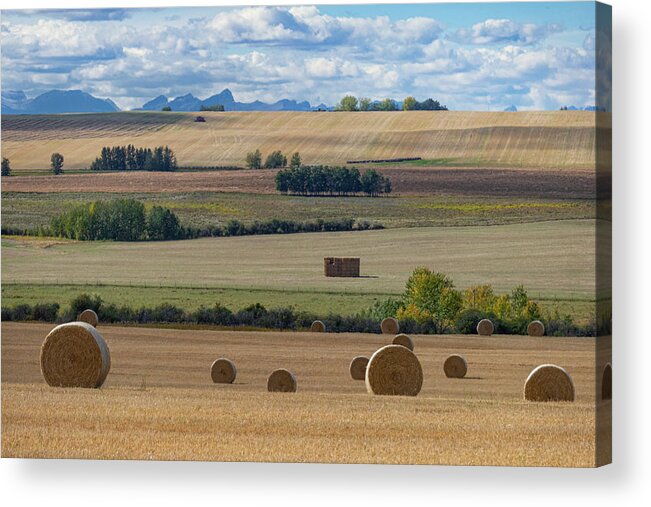 Alberta Acrylic Print featuring the photograph Alberta fall landscape by Phil And Karen Rispin