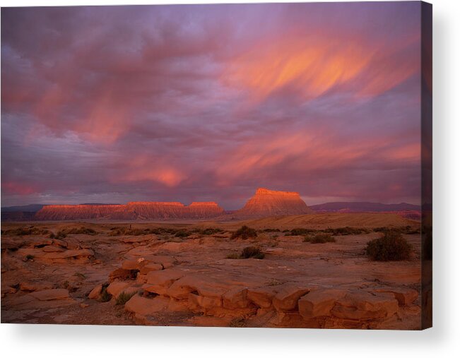 Utah Acrylic Print featuring the photograph Alight by Dustin LeFevre