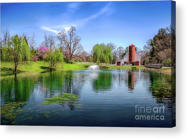 Allandale Acrylic Print featuring the photograph Allandale Lake in Spring by Shelia Hunt
