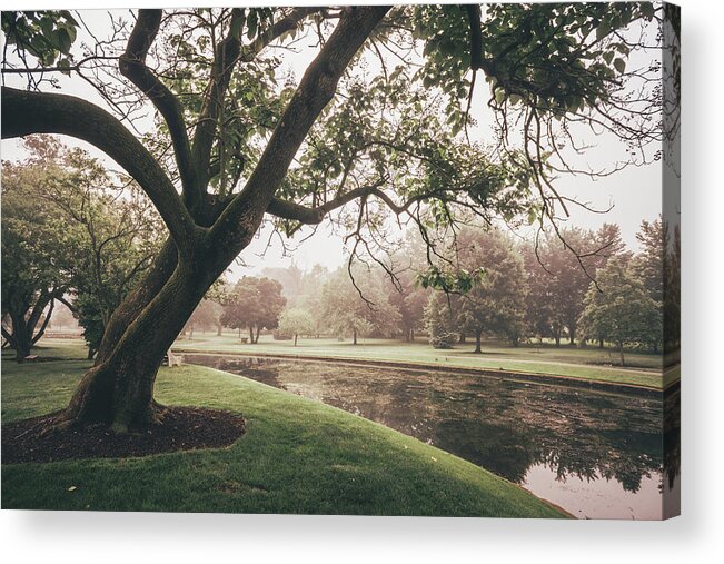 Allentown Acrylic Print featuring the photograph Allentown Tree By The Pond by Jason Fink