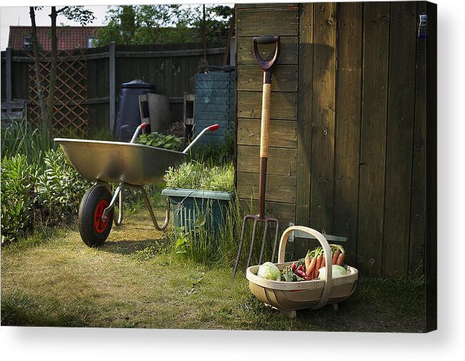 Grass Acrylic Print featuring the photograph Allotment and gardening tools by Mike Harrington