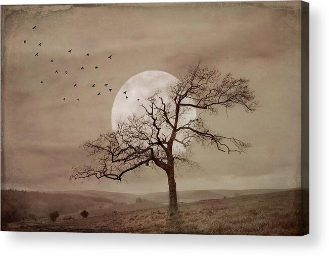 Clouds Acrylic Print featuring the photograph Alone under a Full Moon at Dusk in Sepia Tones by Debra and Dave Vanderlaan