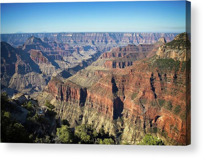 Nature Acrylic Print featuring the photograph Along the Bright Angel Point Trail by Ronald Lutz
