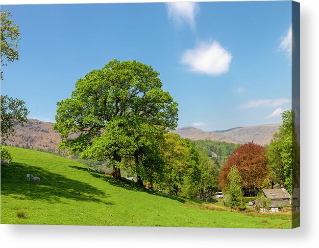 Countryside Acrylic Print featuring the photograph Along the Coffin Route by W Chris Fooshee