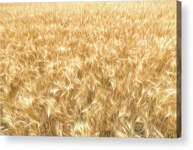 Wheat Acrylic Print featuring the digital art Amber Waves by Brad Barton