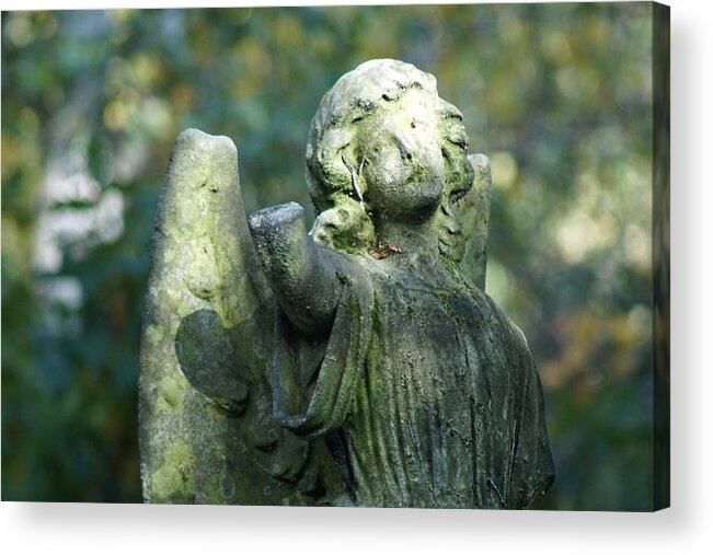 Cemetery Acrylic Print featuring the photograph Angel On A Cemetery by Jolly Van der Velden