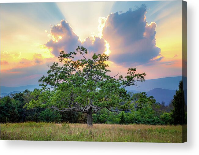 Sunrise Acrylic Print featuring the photograph Angel's Kiss by C Renee Martin