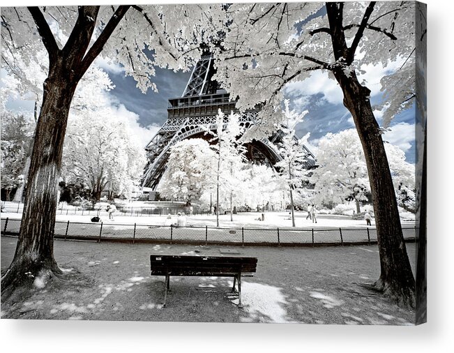 Paris Acrylic Print featuring the photograph Another Look - Between Two Trees by Philippe HUGONNARD